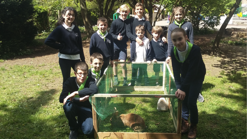 College Saint Pierre Uccle - Servites de Maries - Brigades des petits jardiniers