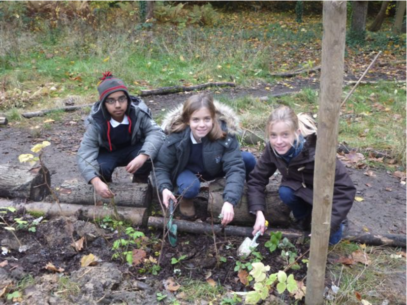 College Saint Pierre Uccle - Servites de Maries - Installation des nichoirs dans le parc