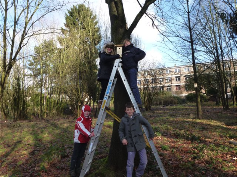 College Saint Pierre Uccle - Servites de Maries - Installation des nichoirs dans le parc