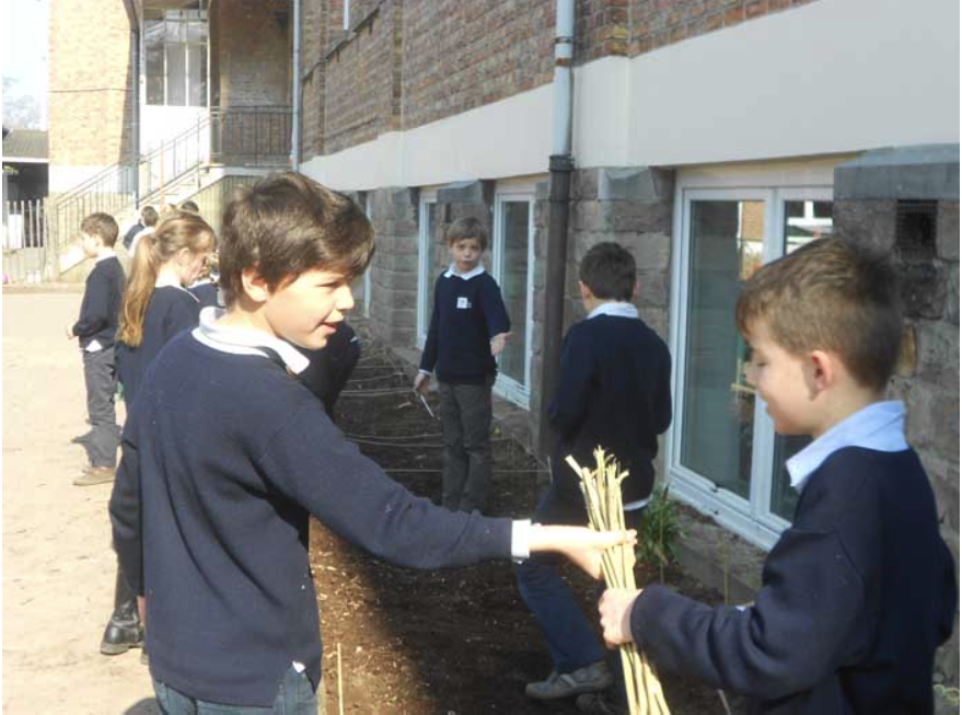 College Saint Pierre Uccle - Servites de Maries - La naissance du potager