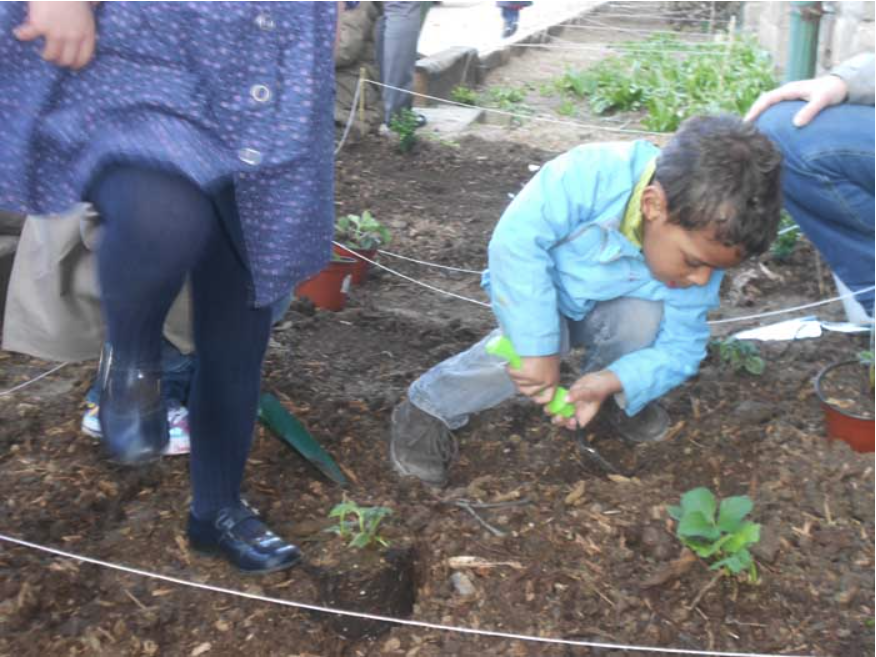 College Saint Pierre Uccle - Servites de Maries - La naissance du potager