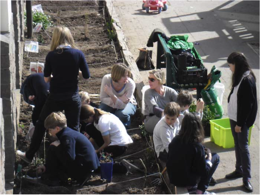 College Saint Pierre Uccle - Servites de Maries - La naissance du potager