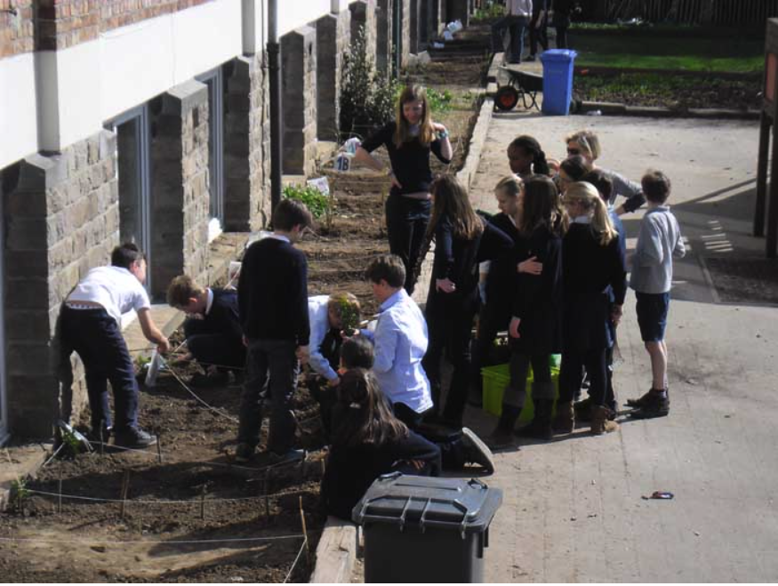 College Saint Pierre Uccle - Servites de Maries - La naissance du potager
