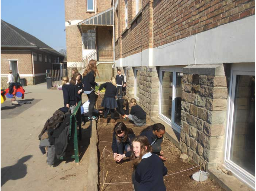 College Saint Pierre Uccle - Servites de Maries - La naissance du potager