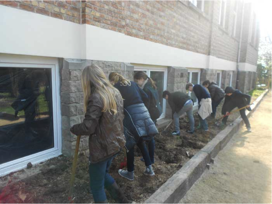 College Saint Pierre Uccle - Servites de Maries - La naissance du potager