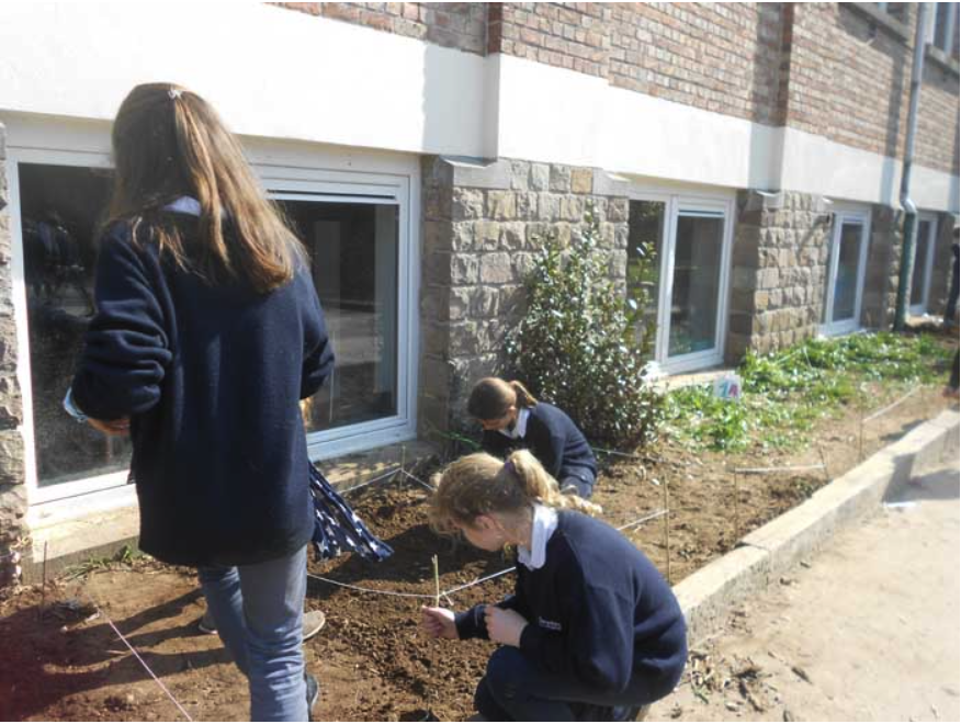College Saint Pierre Uccle - Servites de Maries - La naissance du potager