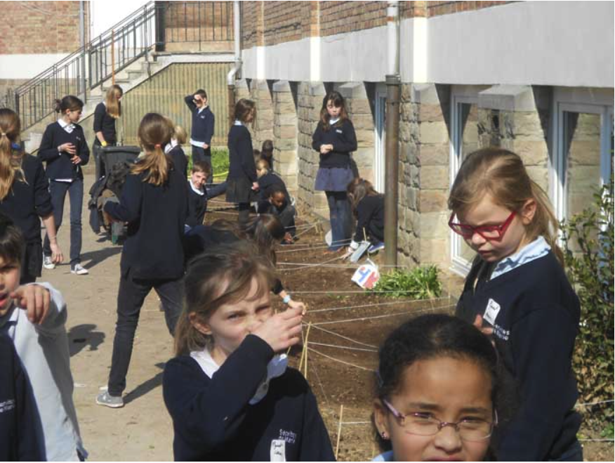 College Saint Pierre Uccle - Servites de Maries - La naissance du potager