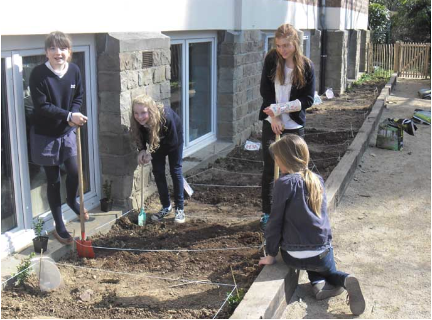 College Saint Pierre Uccle - Servites de Maries - La naissance du potager