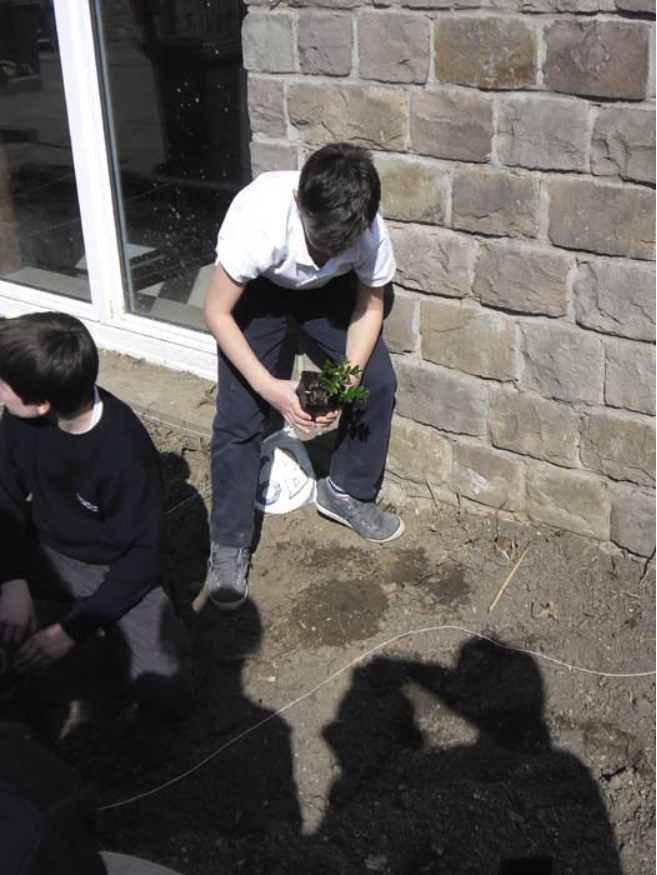 College Saint Pierre Uccle - Servites de Maries - La naissance du potager