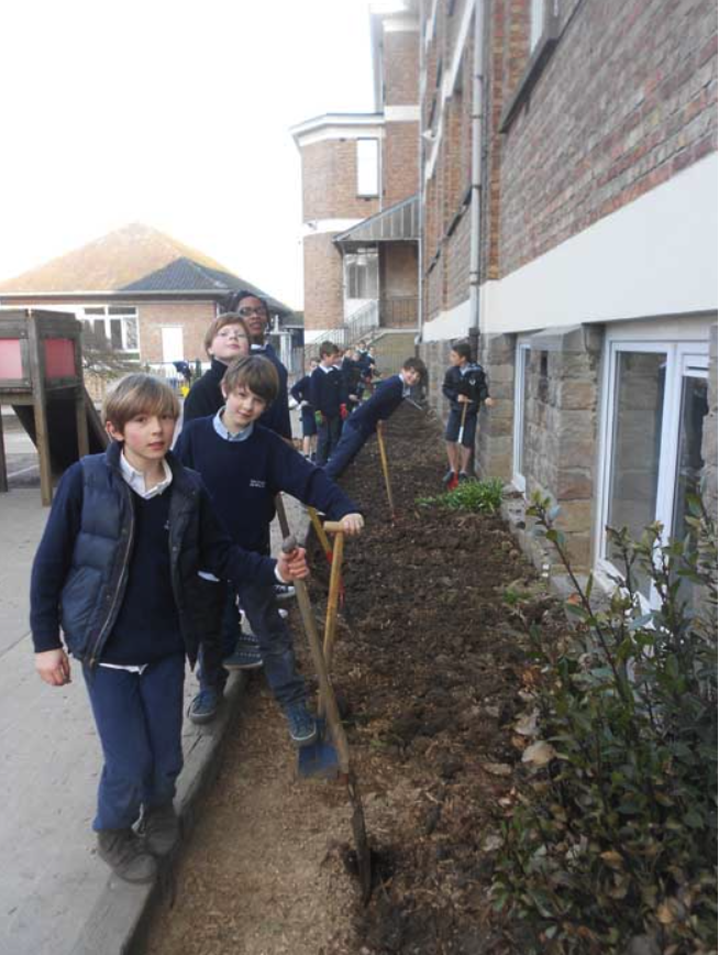 College Saint Pierre Uccle - Servites de Maries - La naissance du potager