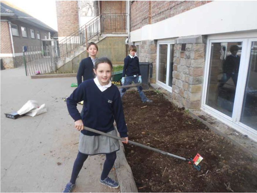College Saint Pierre Uccle - Servites de Maries - La naissance du potager