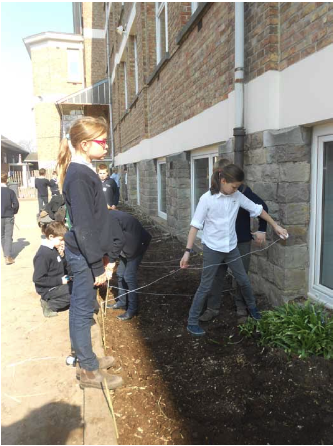 College Saint Pierre Uccle - Servites de Maries - La naissance du potager