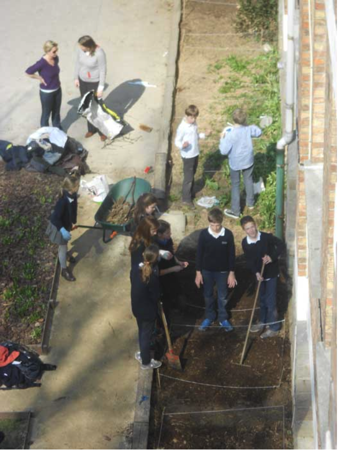 College Saint Pierre Uccle - Servites de Maries - La naissance du potager
