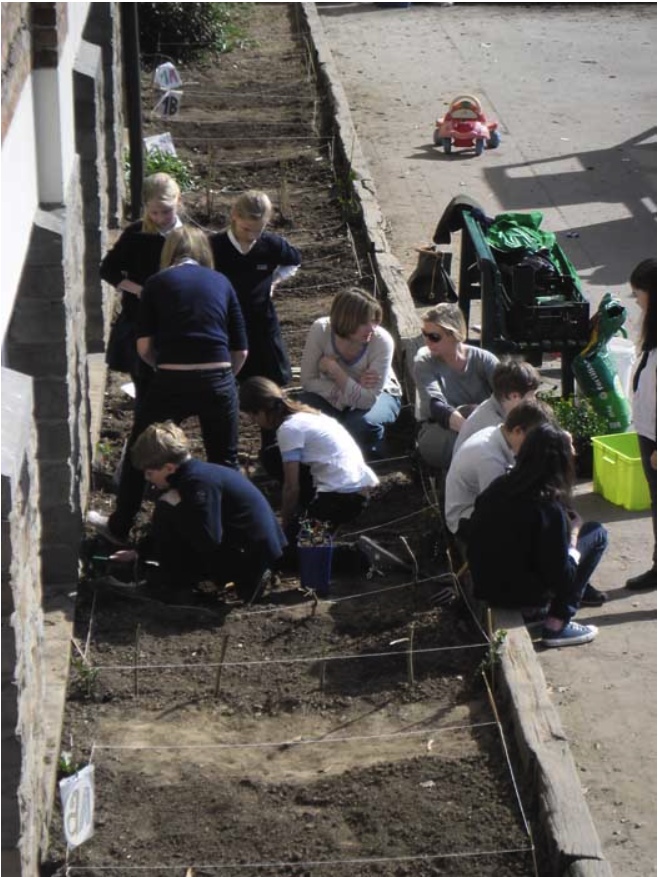 College Saint Pierre Uccle - Servites de Maries - La naissance du potager