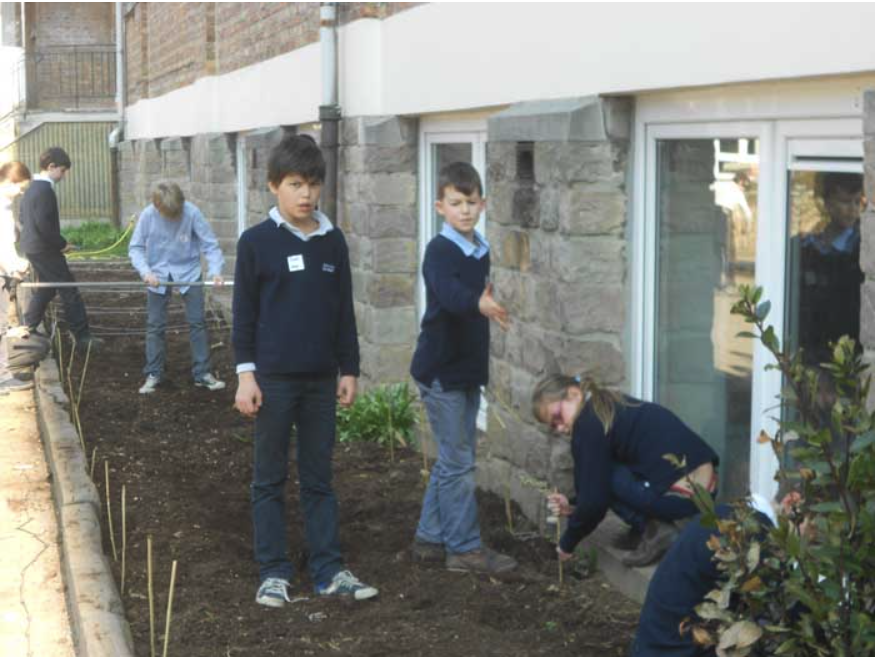 College Saint Pierre Uccle - Servites de Maries - La naissance du potager