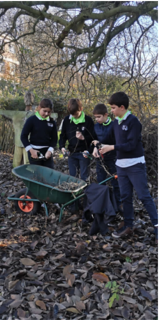 College Saint Pierre Uccle - Servites de Maries - Premier trimestre du côté des petits jardiniers
