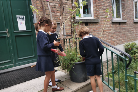 College Saint Pierre Uccle - Servites de Maries - Premier trimestre du côté des petits jardiniers
