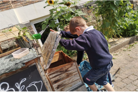 College Saint Pierre Uccle - Servites de Maries - Premier trimestre du côté des petits jardiniers