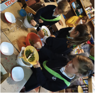 College Saint Pierre Uccle - Servites de Maries - Premier trimestre du côté des petits jardiniers