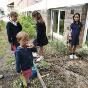 College Saint Pierre Uccle - Servites de Maries - Premier trimestre du côté des petits jardiniers