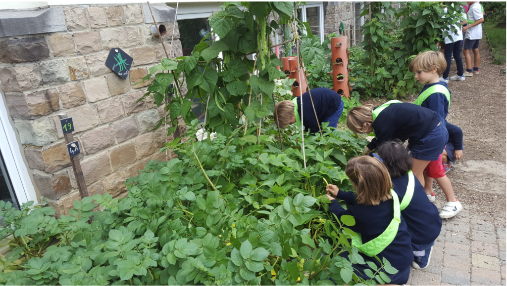 College Saint Pierre Uccle - Servites de Maries - Brigades des petits jardiniers