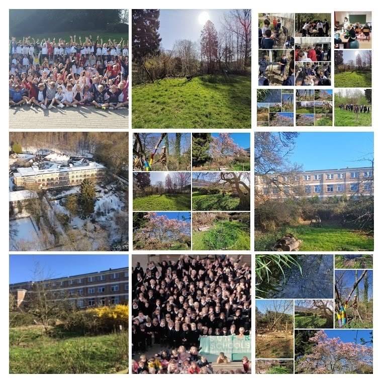 Montage photo d'activités scolaires au Collège Saint-Pierre Les Servites de Marie : projets pédagogiques, vie en classe, ateliers créatifs et moments en plein air dans un cadre familial et verdoyant près de la Forêt de Soignes.